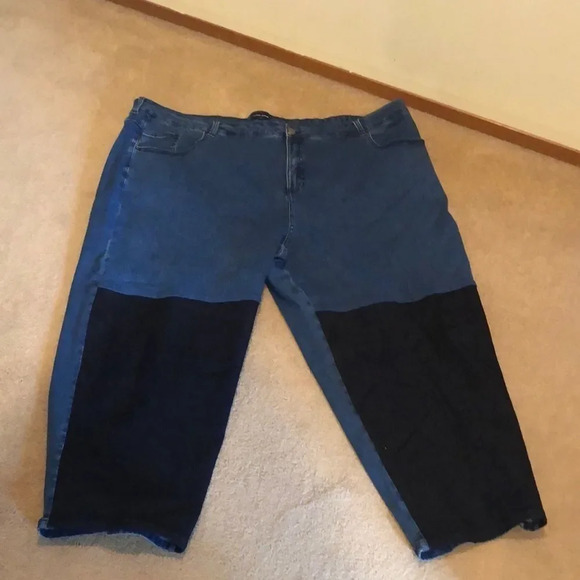 𝅺NWOT Universal standard Ravi/Color block jeans - Picture 1 of 9